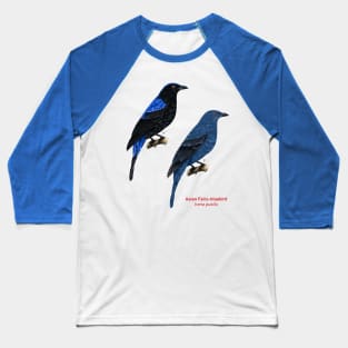 Asian Fairy-bluebird | Irena puella ⚥ Baseball T-Shirt